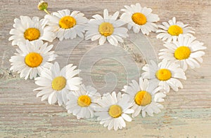 A heart of chamomile flowers on an old textured wooden background.