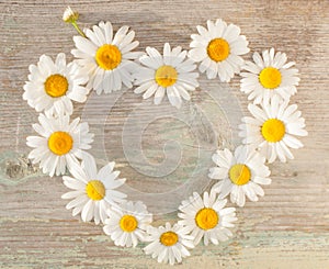 A heart of chamomile flowers on an old textured wooden background.