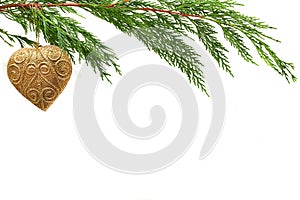 Heart Christmas decoration. on real fir tree branch