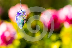 Heart crystal glass refract sunlight - rose garden background