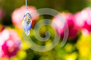 Heart crystal glass refract sunlight - rose garden background
