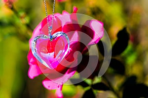 Heart crystal glass refract sunlight - rose garden background