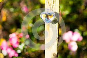 Heart crystal glass refract sunlight - rose garden background