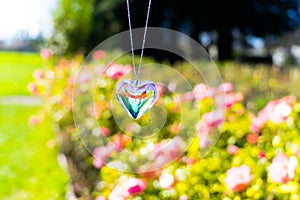 Heart crystal glass refract sunlight - sunlight clock backgroundheart crystal glass refract sunlight - rose garden background