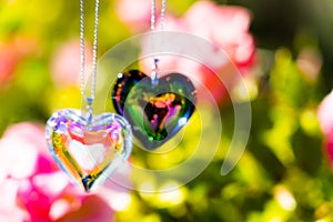 Heart crystal glass refract sunlight - sunlight clock backgroundheart crystal glass refract sunlight - rose garden background