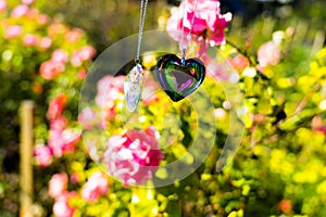 Heart crystal glass refract sunlight - sunlight clock backgroundheart crystal glass refract sunlight - rose garden background