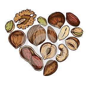 Heart design with colored cashew, peanut, pistachio, hazelnut, almond, walnut