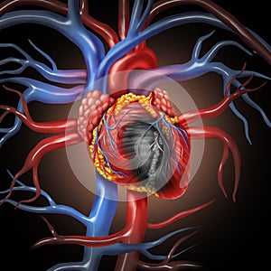 Heart Disease Anatomy