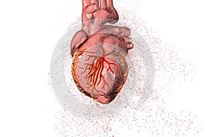 Heart disease concept