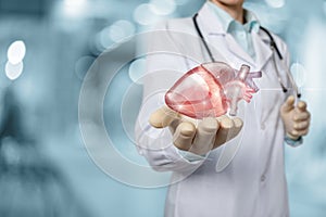 Heart disease diagnosis and treatment concept