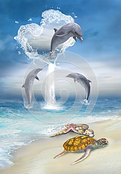 Srdce z delfíny 