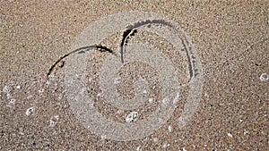 Heart Drawn On Ocean Beach Sand