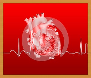 Heart and ECG line