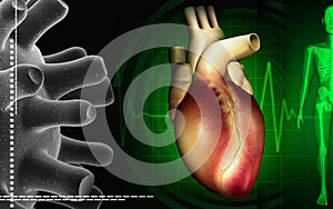 Heart with eco cardio gram pulse
