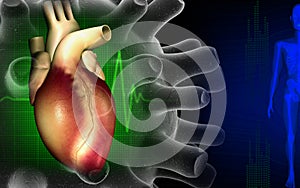 Heart with eco cardio gram pulse