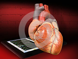 Heart with EKG