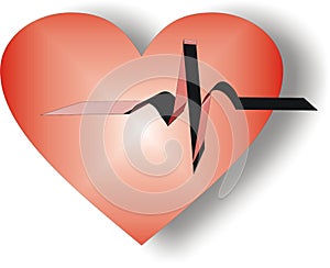 Heart and EKG