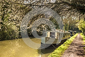 Heart of England - Narrow boat