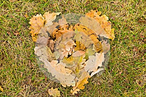 Heart of fallen leaves