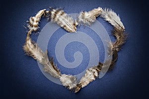 Heart of feathers on blue background