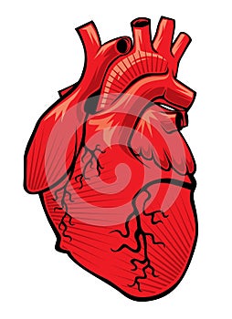 Heart fileâ€“ stock illustration â€“ stock illustration file