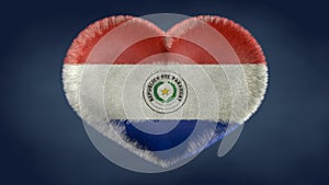 Heart of the flag of Paraguay. photo