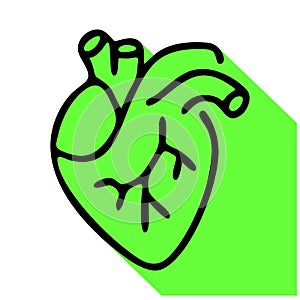 Heart flat line icon. Vector thin pictogram of human internal organ