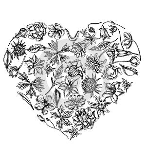 Heart floral design with black and white bellflower, edelweiss, globethistle, globeflower, meadow geranium, gentiana