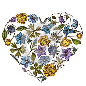 Heart floral design with colored bellflower, edelweiss, globethistle, globeflower, meadow geranium, gentiana