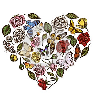 Heart floral design with colored lemon butterfly, red lacewing, african giant swallowtail, alcides agathyrsus, wallace`s