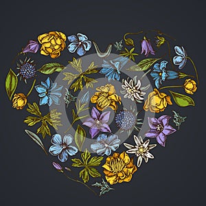 Heart floral design on dark background with bellflower, edelweiss, globethistle, globeflower, meadow geranium, gentiana