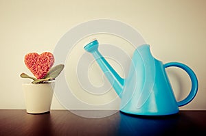 Heart flower with watering can for growing love