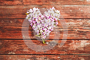 Heart of flowers and buds of the apple tree. Old wooden planks background