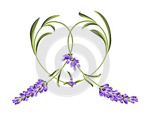 Heart frame of lavender flower