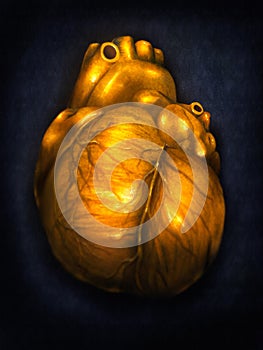 Heart Of Gold - Digital Painting