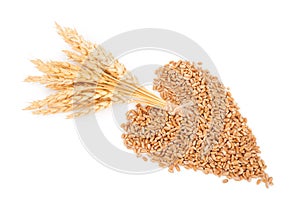 Heart of grains of wheat with spikelet