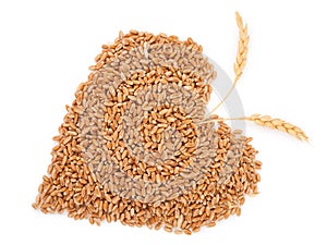 Heart of grains of wheat with spikelet