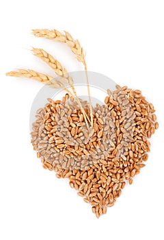 Heart of grains of wheat with spikelet photo