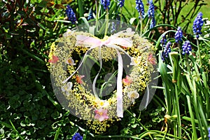 Heart in grape hyacinths