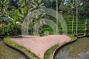 A heart on the ground in front of the rice terraces in Tegallalang, Bali