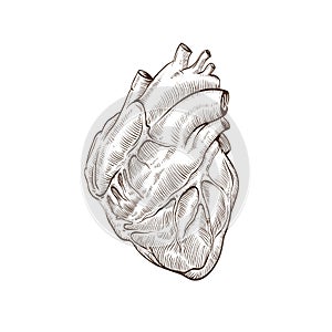 Heart hand drawn isolated on a white backgrounds