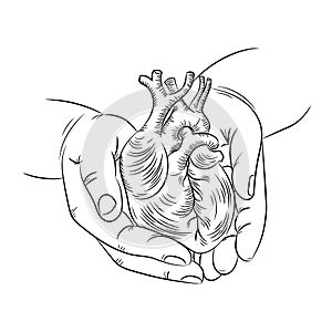 HEART IN HANDS Health Symbol Medicine Human Hand Draw Vector photo