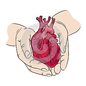 HEART AND HANDS Health Symbol Medicine Human Hand Draw Vector photo