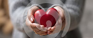 The Heart Held with Love and Care by Gentle Hands AI generated image