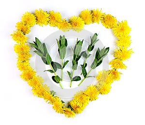 Heart with herbs for homeopathy and cooking
