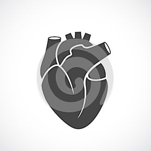 Heart human organ vector icon