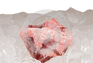 Heart on ice