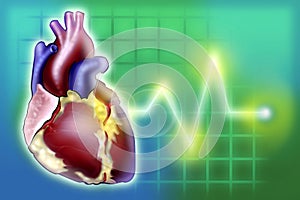 Heart image with pulse lifeline monitor illustration