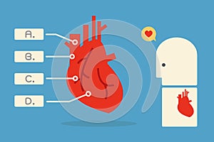 Heart infographics