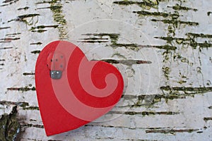 Heart with ladybug on birch tree trunk background